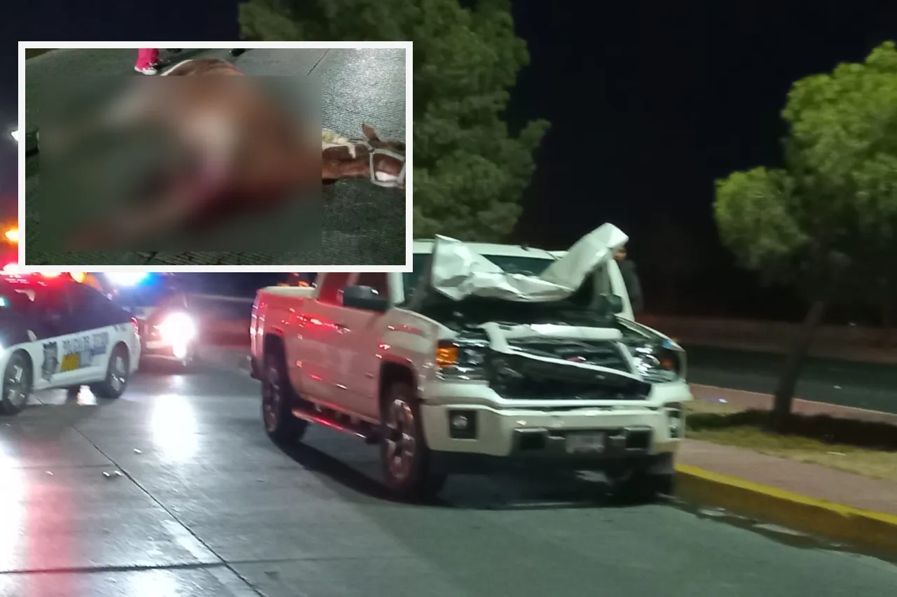 Atropella a caballo y termina con camioneta destrozada