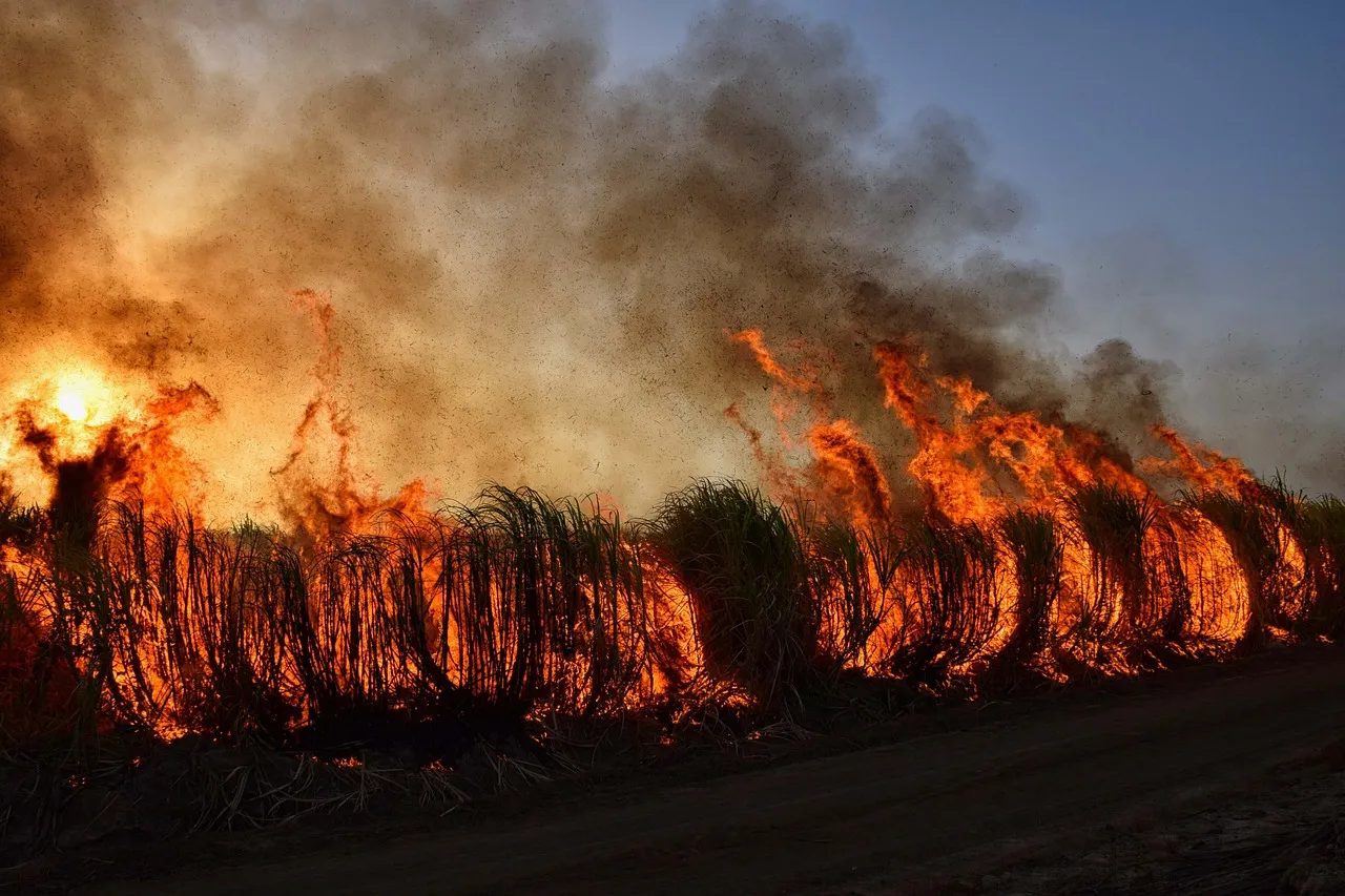 Arrestan a hombre de Massachusetts sospechoso de provocar incendios