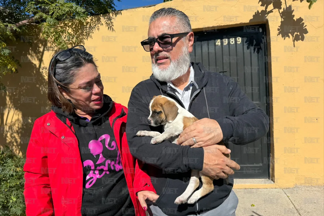 Rescatan de incendio a cachorro 'Cookie' de 3 meses