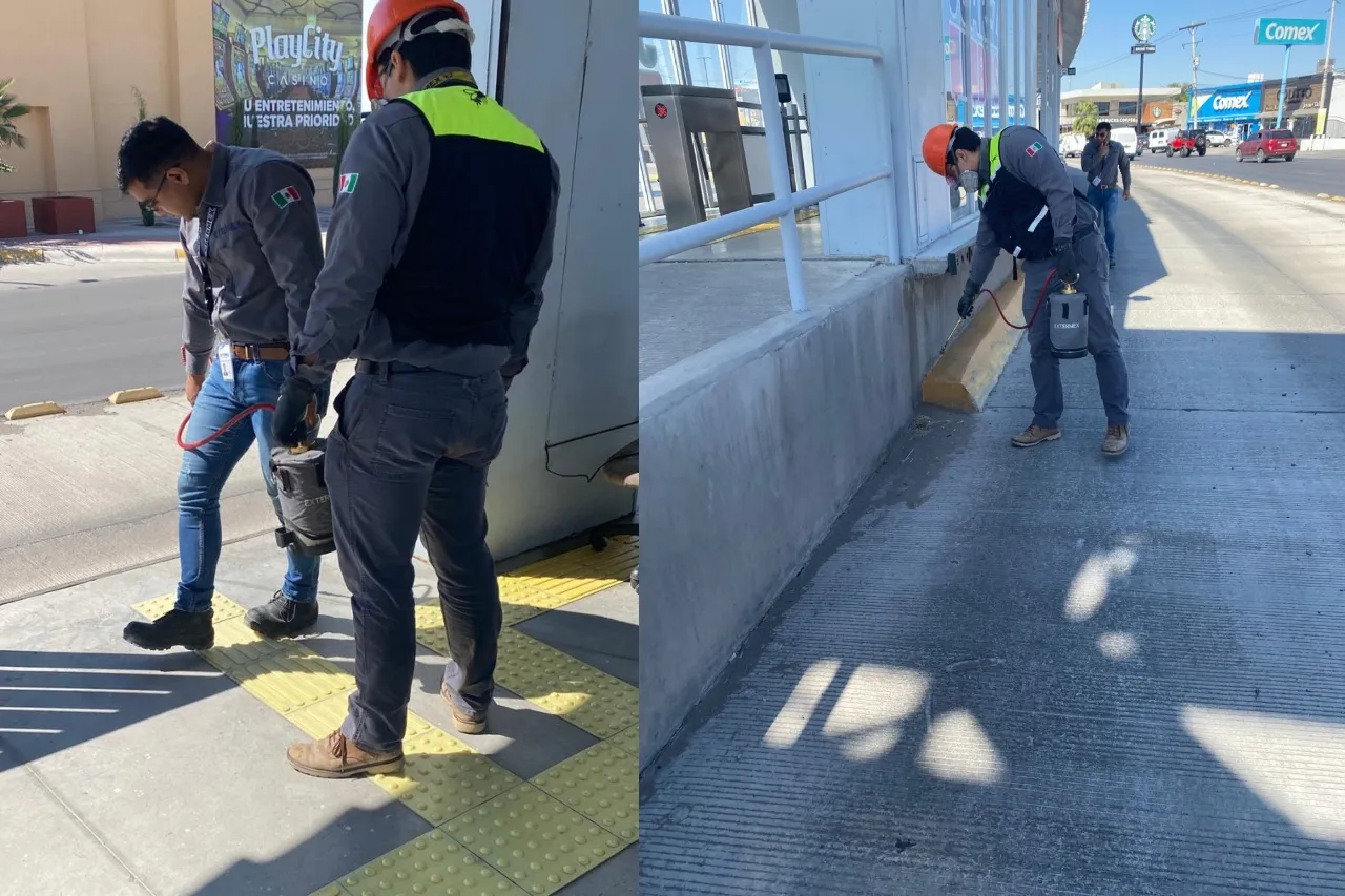 Fumigan y desinfectan estaciones y camiones del Juárez Bus