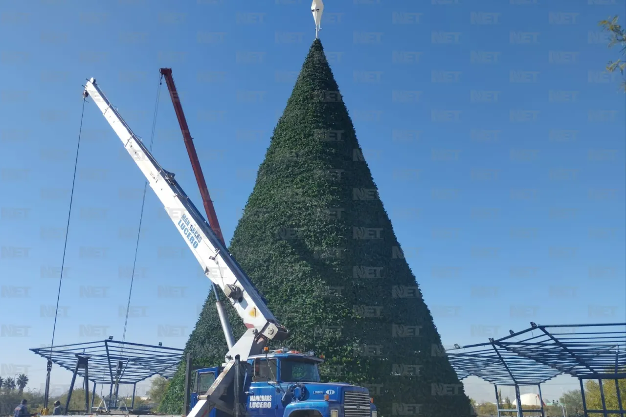 Así está quedando el árbol navideño del Parque Central