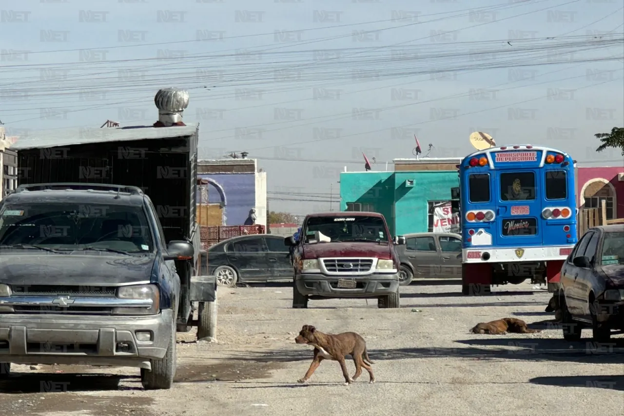 Pitbull mata a su perrito y dueña resuelve problema con disparos