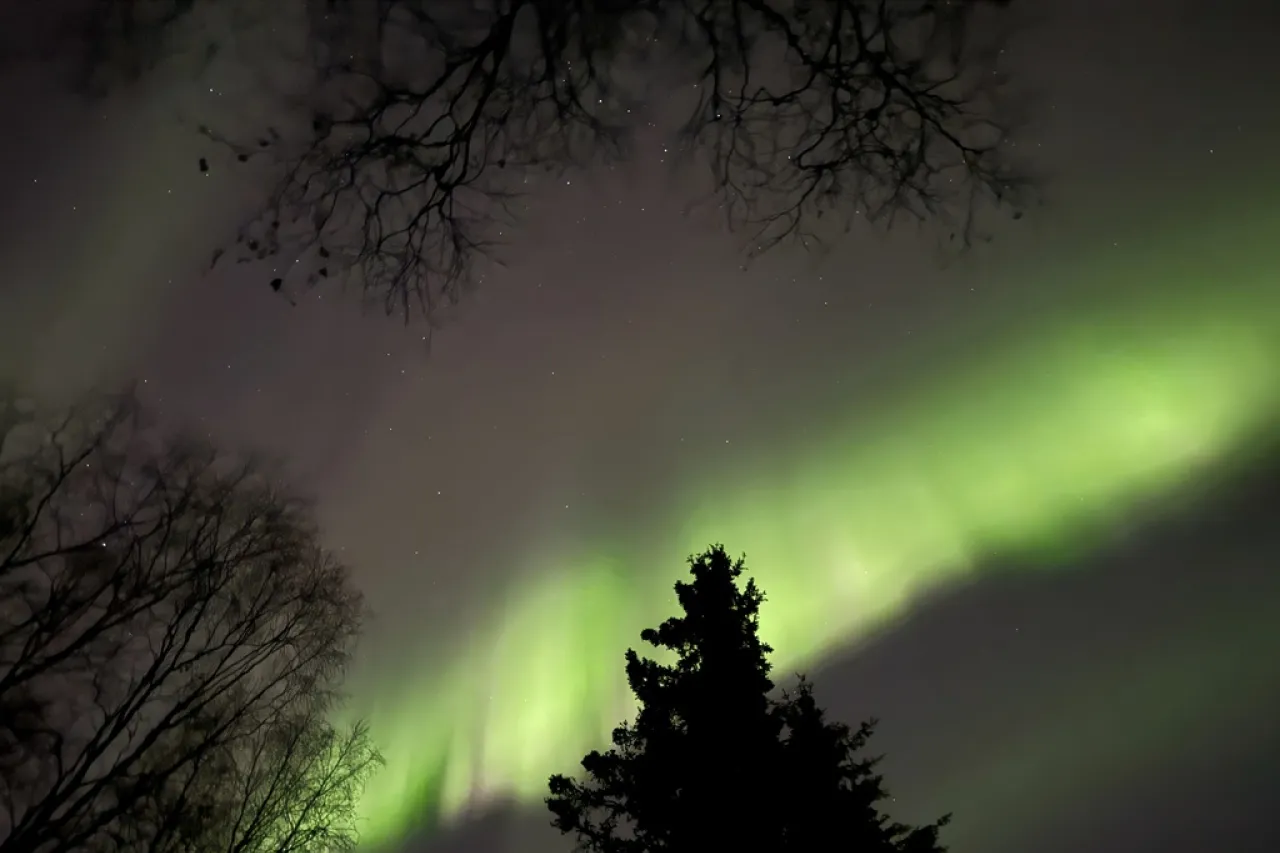 Auroras podrían verse de nueva cuenta en EU este Día de Acción de Gracias