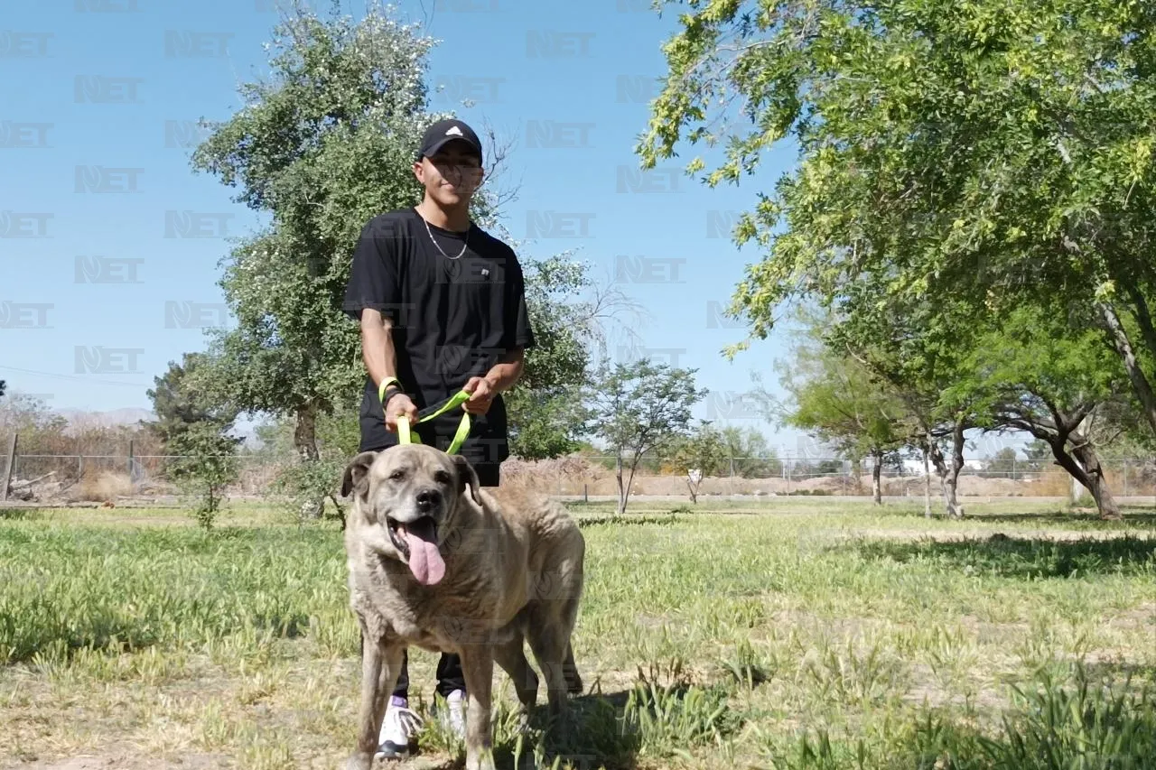 Vacuna y protege a tus mascotas antes del invierno en Juárez