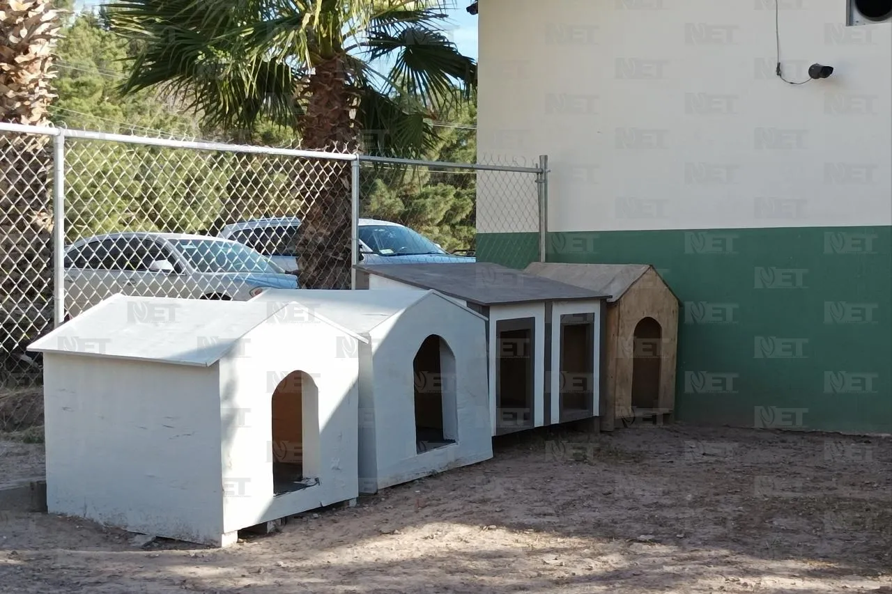 Vacuna y protege a tus mascotas antes del invierno en Juárez