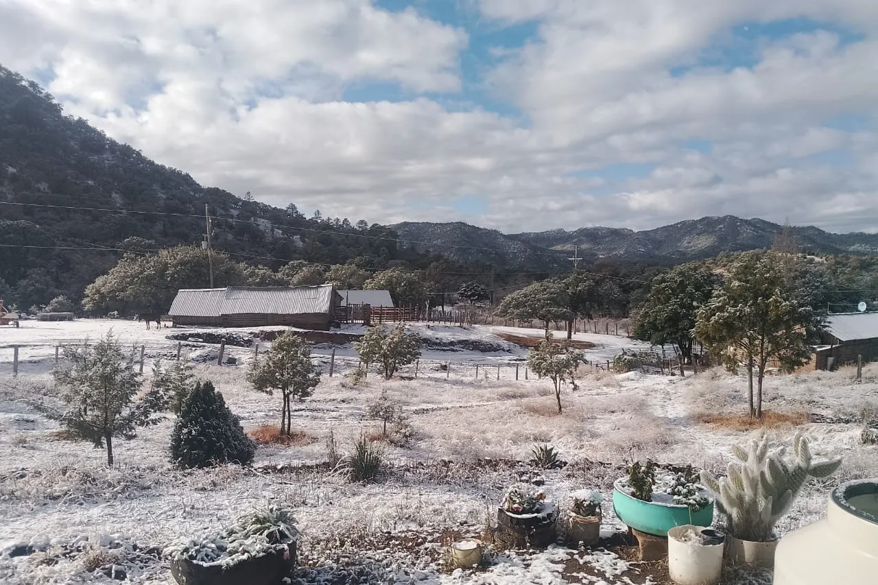 Pronostican temperaturas gélidas y lluvias para diversas regiones de Chihuahua