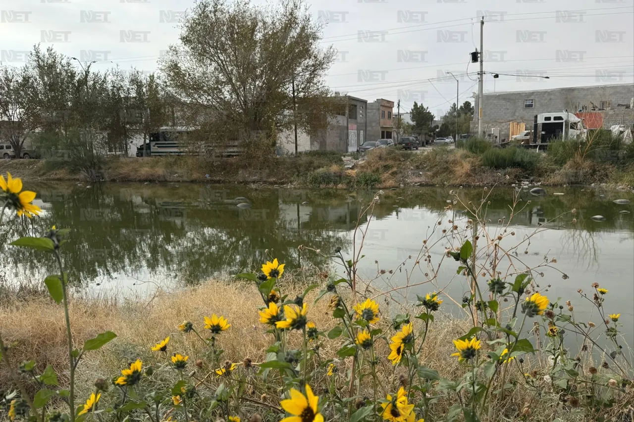 Invanden aguas negras El Mezquital y generan focos de infección