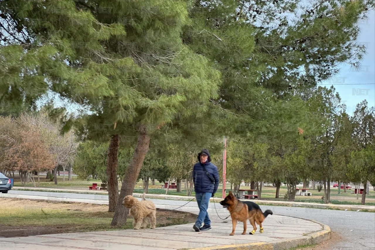 Clima perfecto, acuden juarenses a El Chamizal para ejercitarse