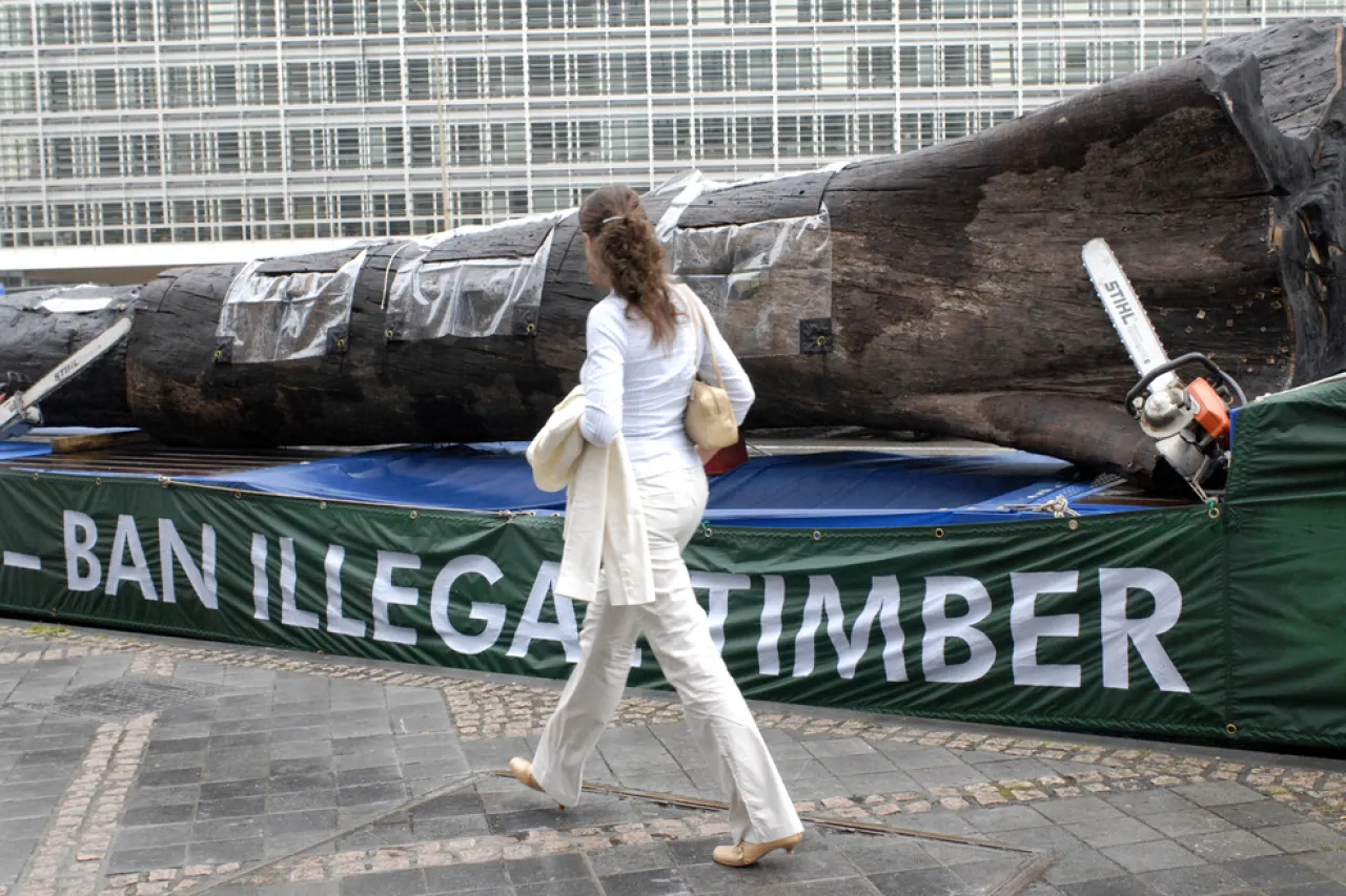 Aplaza UE un año su ley contra la deforestación