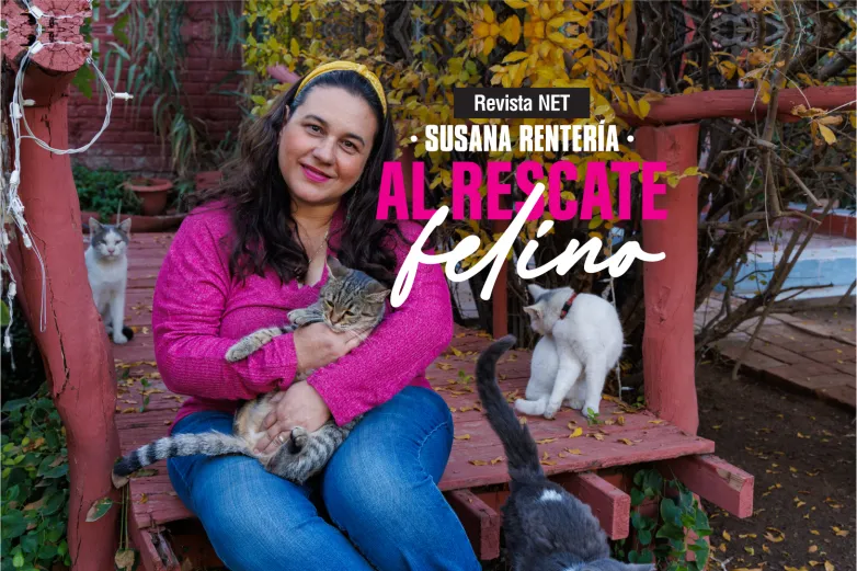 Susana Rentería: Al rescate felino