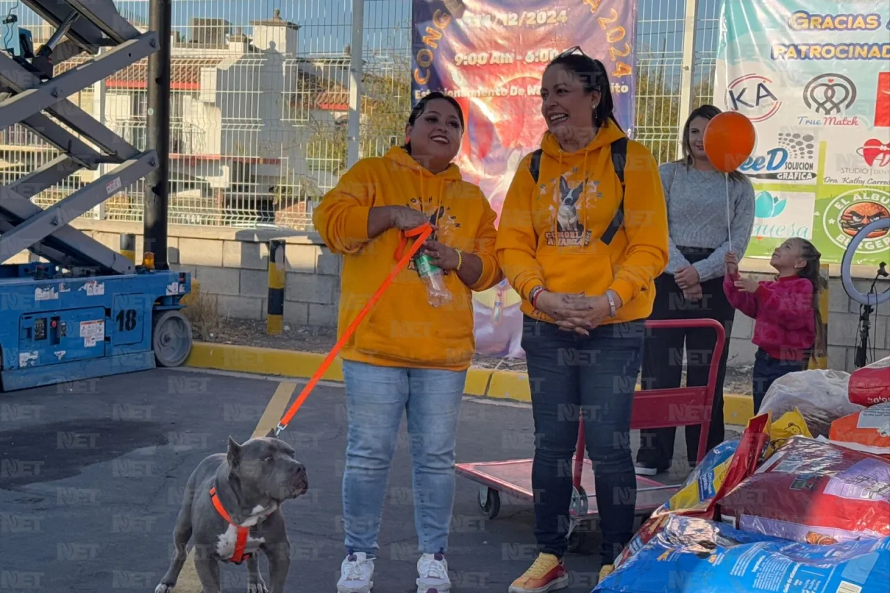 Entrega Partido Verde 2 toneladas de croquetas para apoyar a mascotas rescatadas