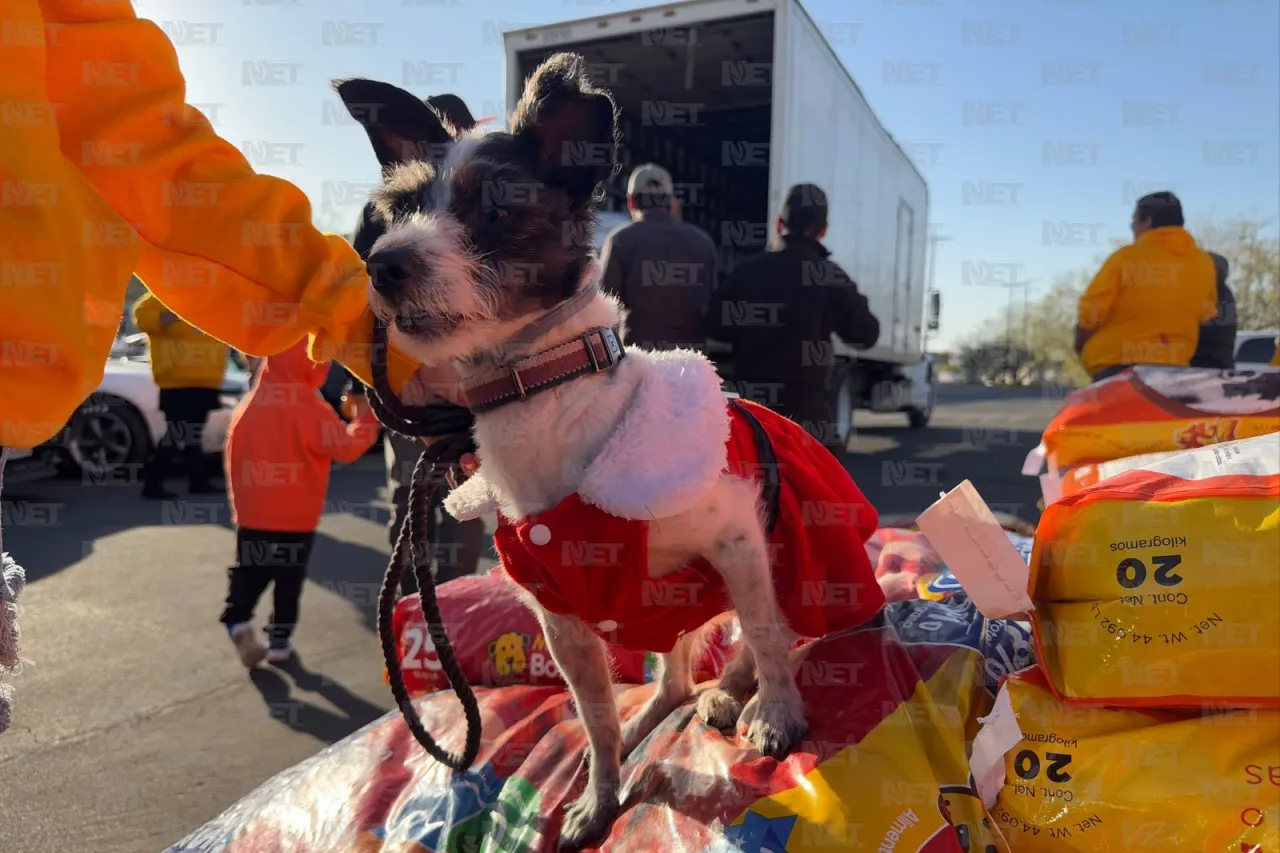 Entrega Partido Verde 2 toneladas de croquetas para apoyar a mascotas rescatadas