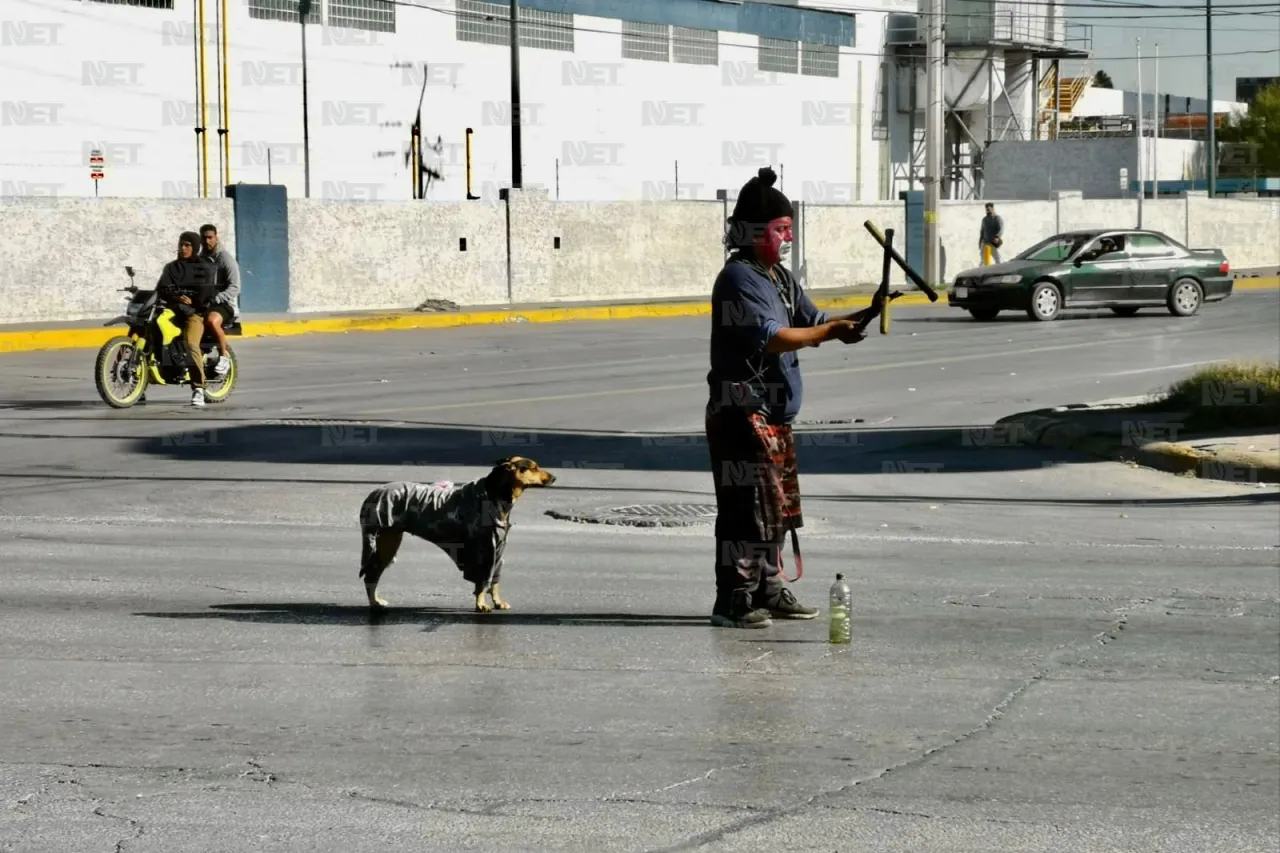 'Negrita' sale con su amo a buscar la croqueta de cada día