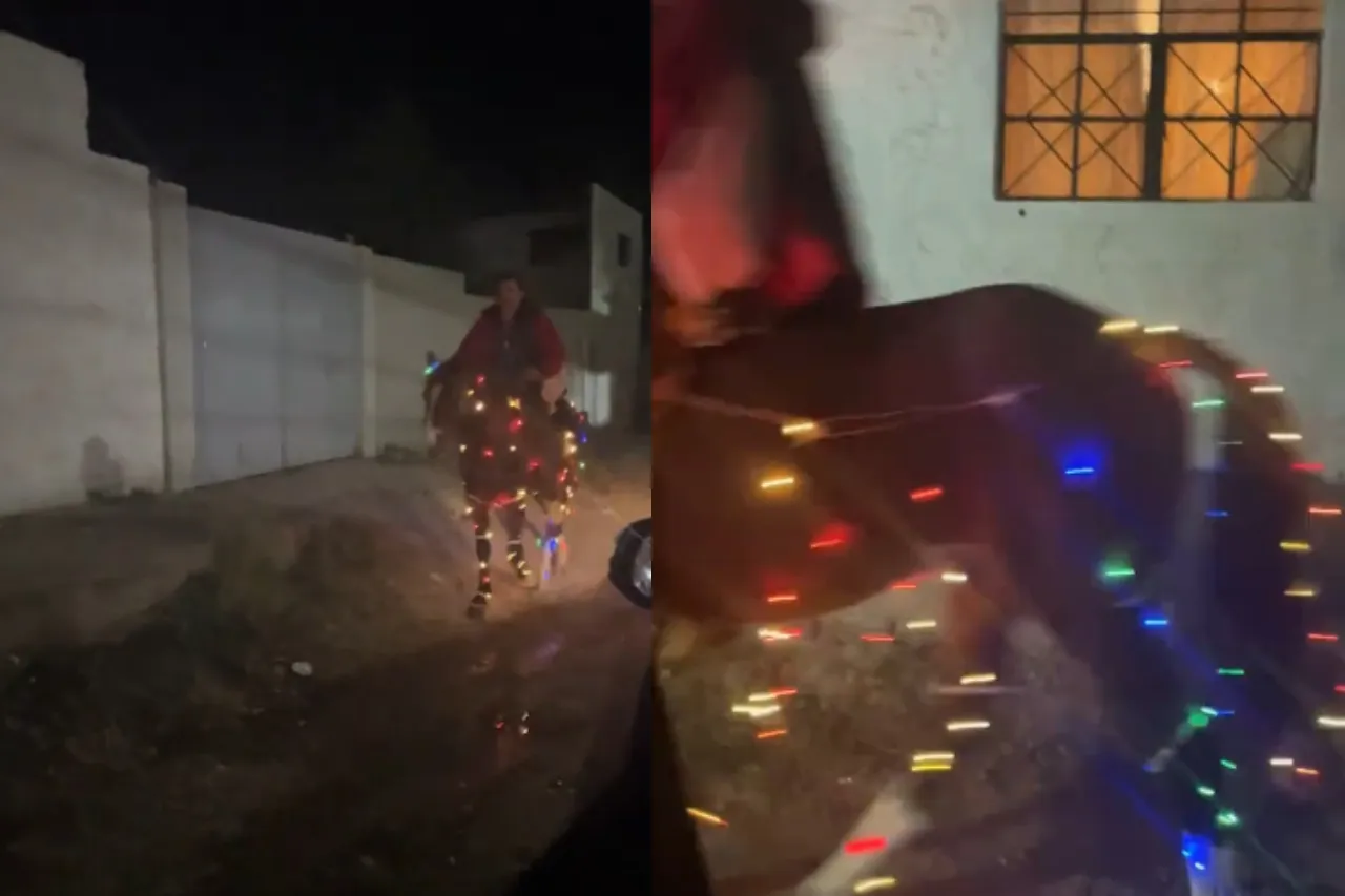 Señor decora su caballo con luces navideñas y se vuelve viral