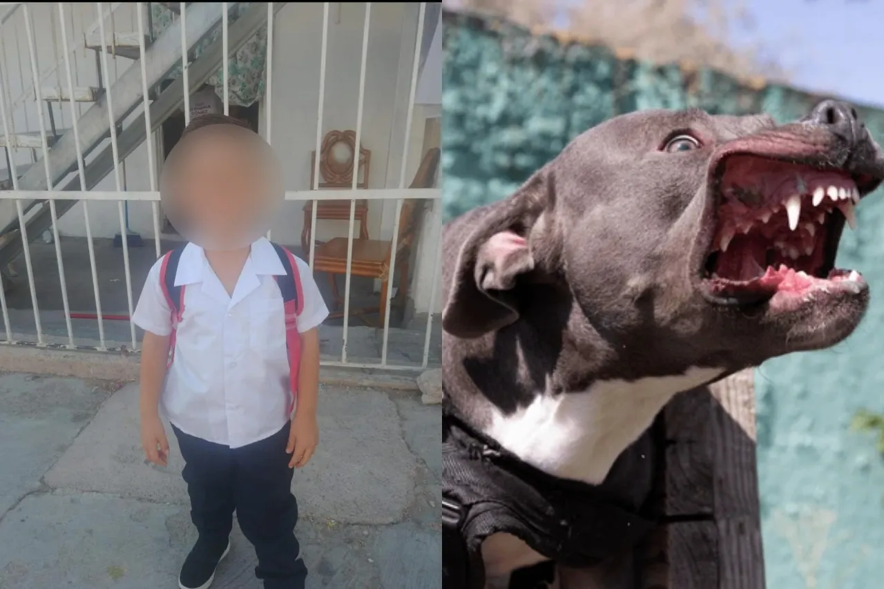 Despiden a André, el niño atacado por pitbulls en Navidad en Chihuahua