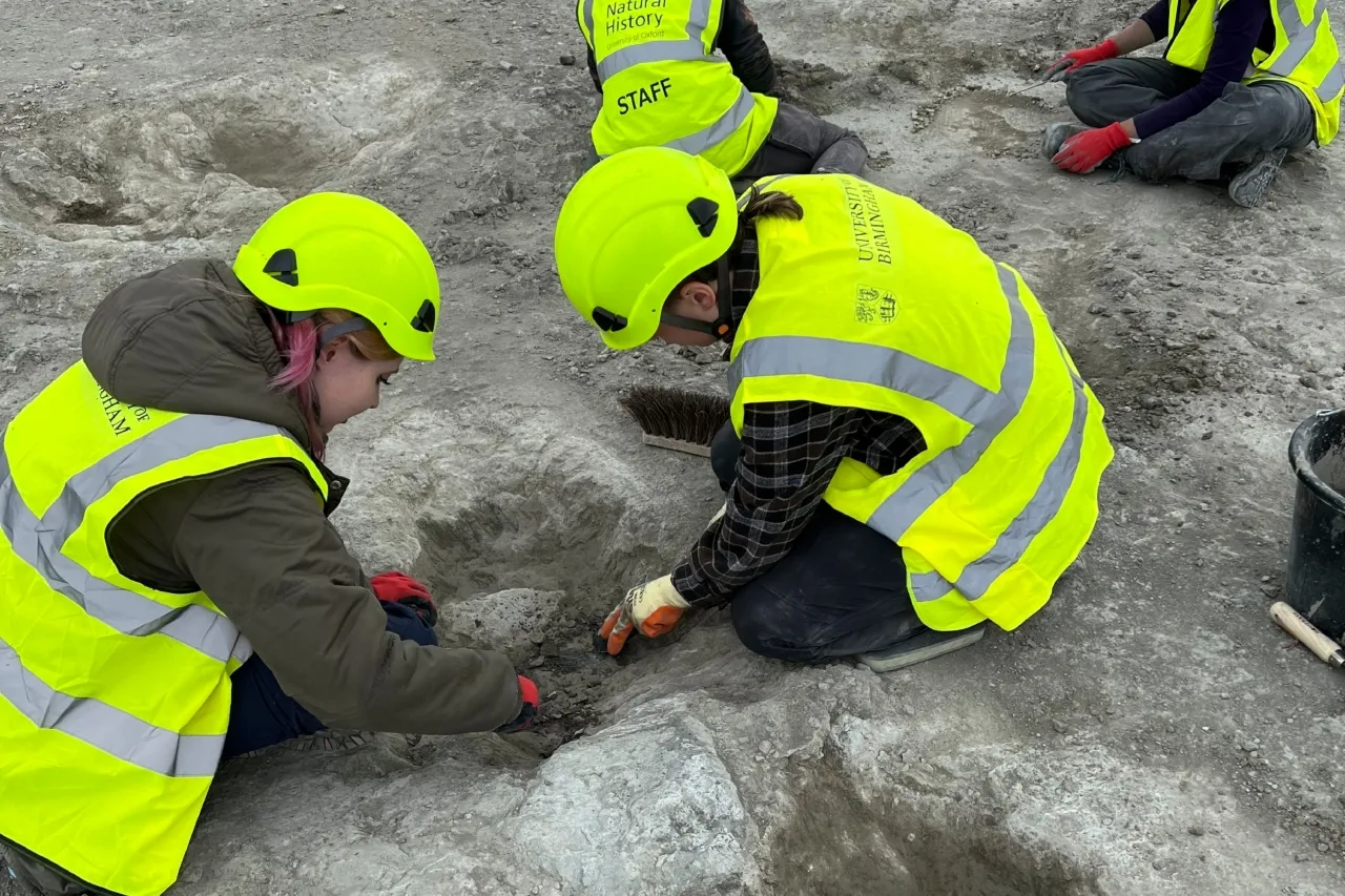 Descubren huellas de 'autopista de dinosaurios' de hace 166 millones de años