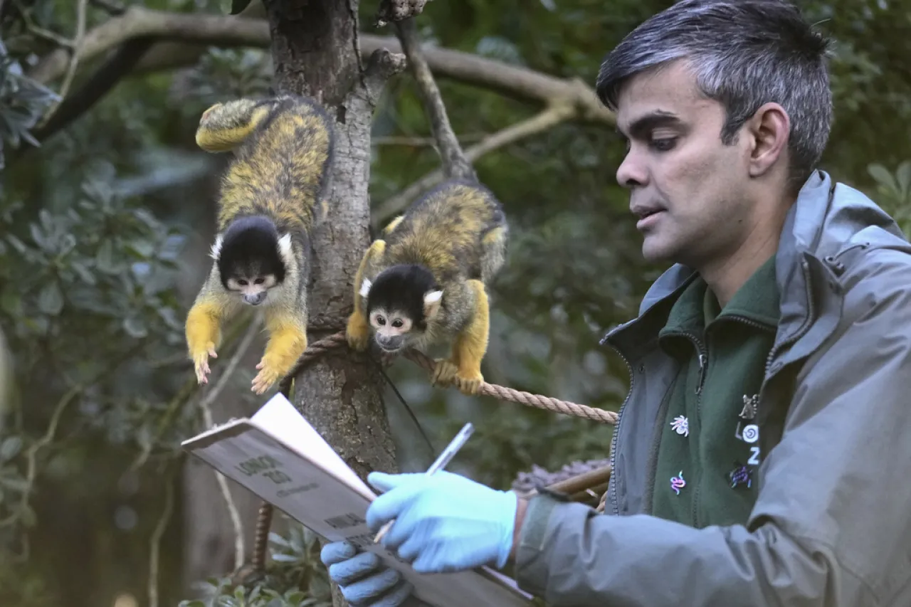 Zoo de Londres cuenta a sus residentes en el inventario anual