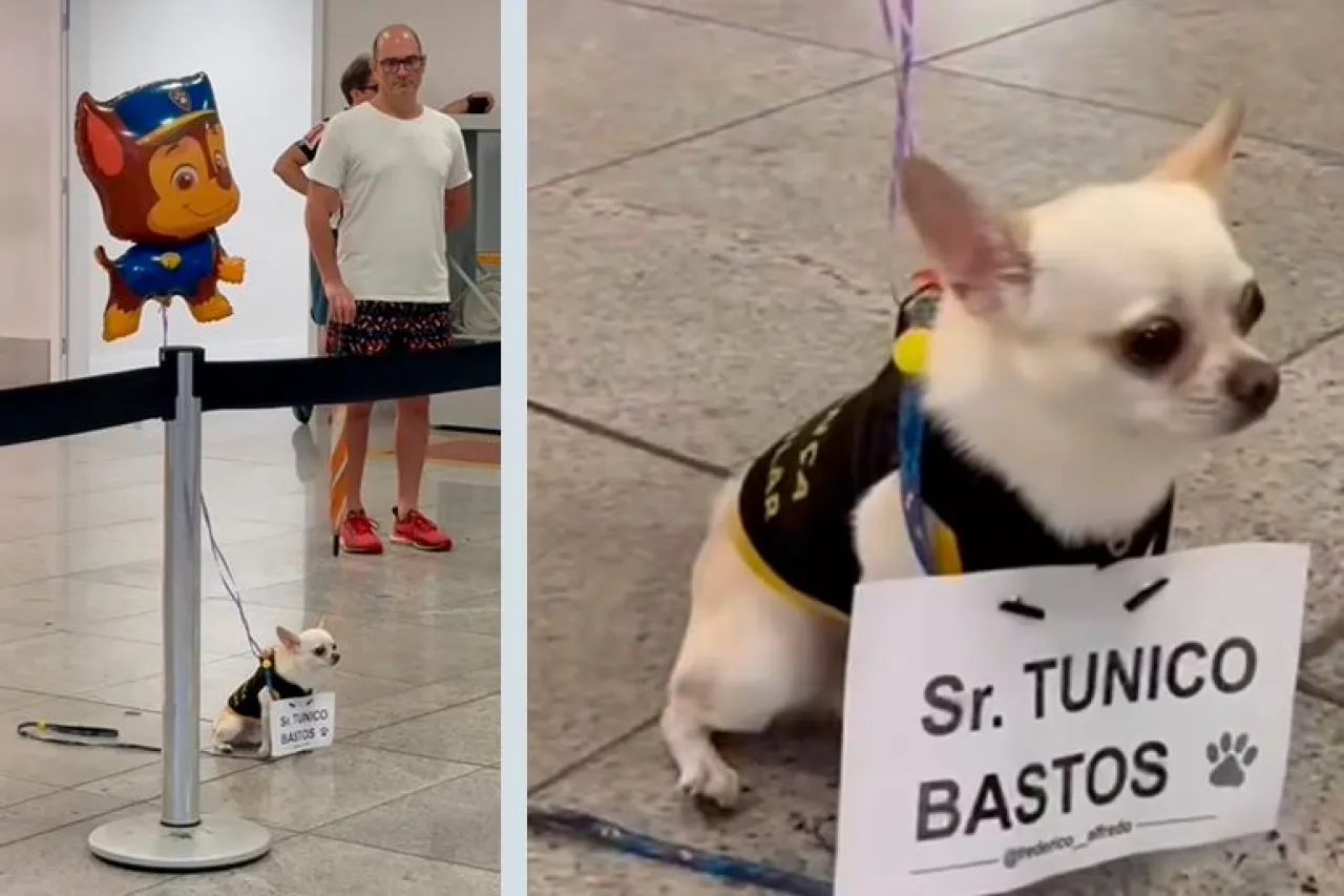 Video: Perrito recibe a su ‘amigo’ en aeropuerto con globo de Paw Patrol