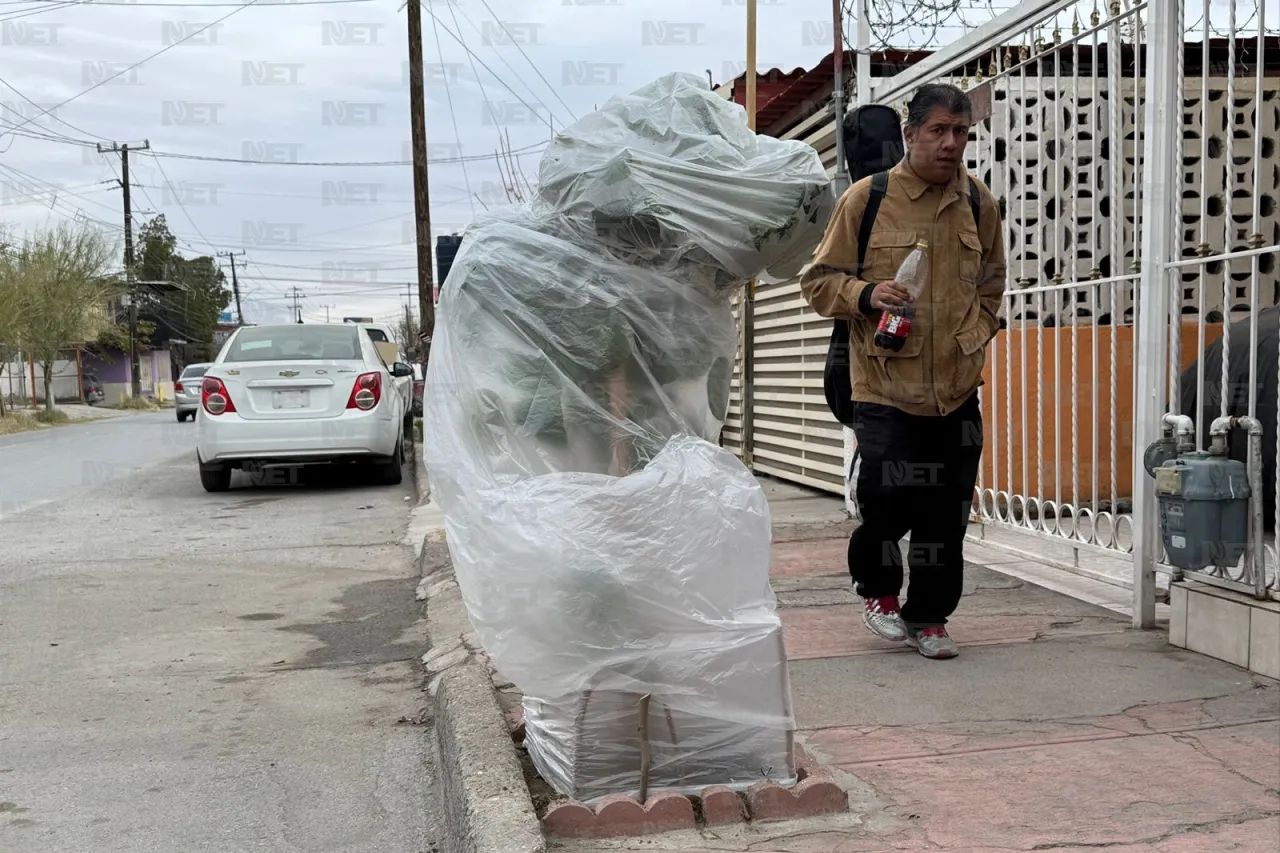 Buscan juarenses proteger sus plantas del frío extremo con bolsas