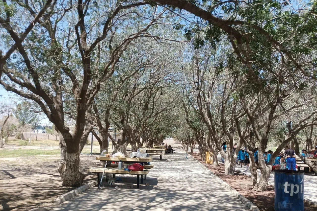 Espera Parque Central más de mil árboles para plantar en los próximos días