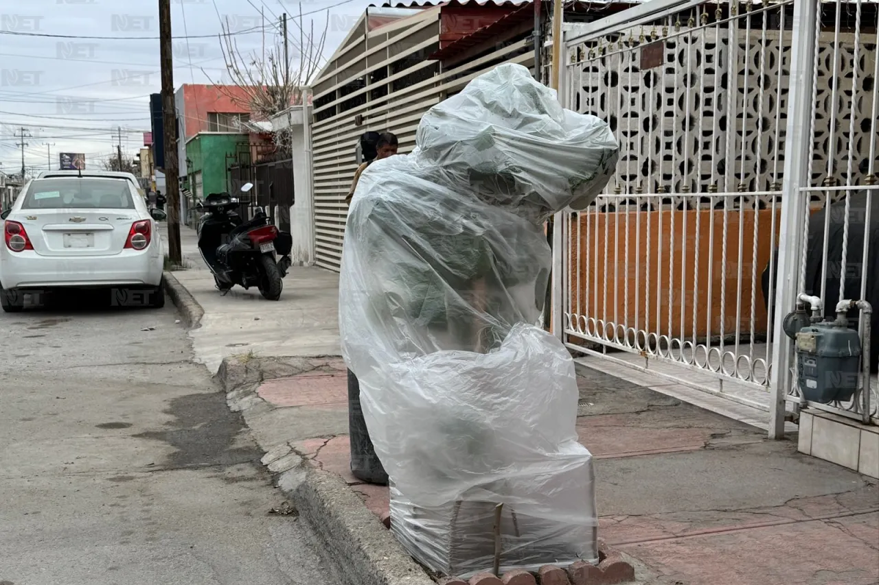 Buscan juarenses proteger sus plantas del frío extremo con bolsas