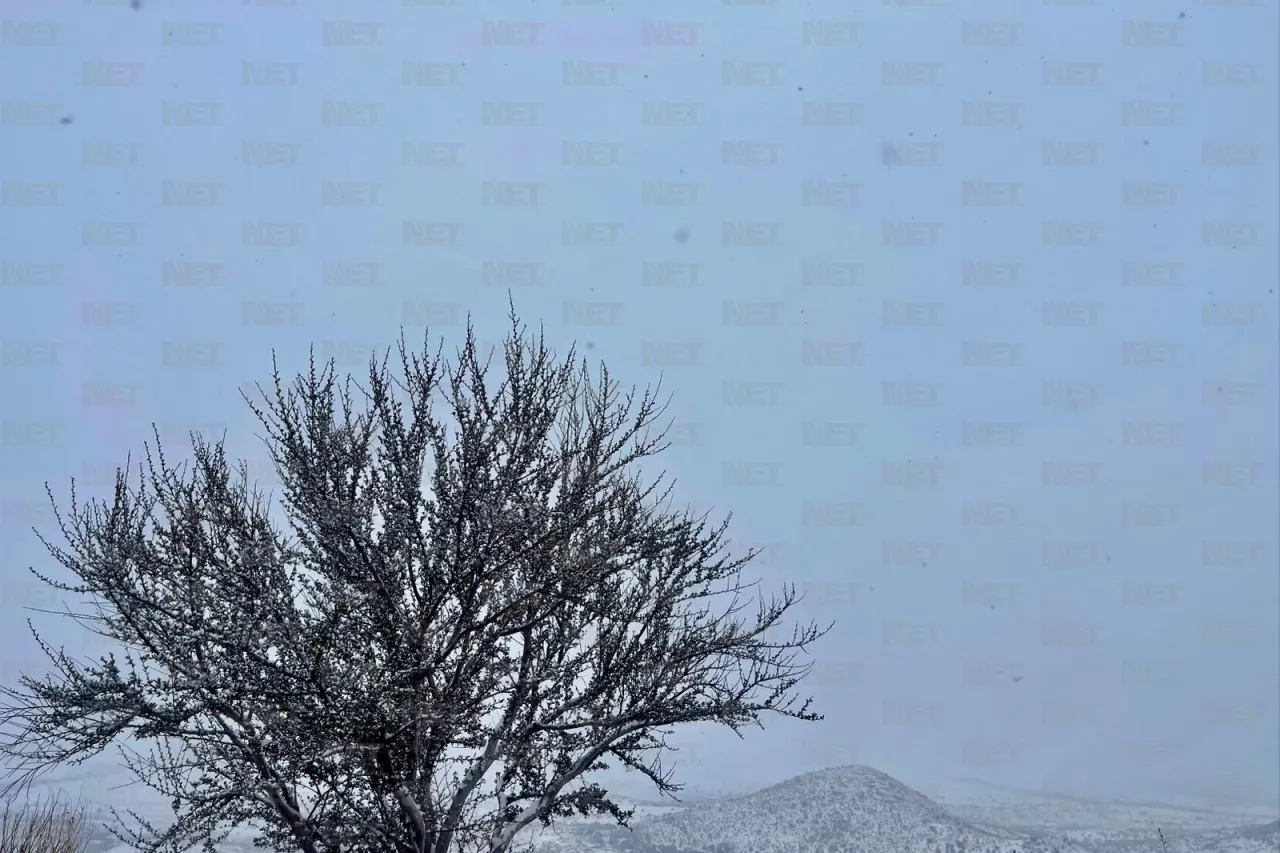 Disfrutan de la primera nevada del año en Mata Ortiz y Casas Grandes