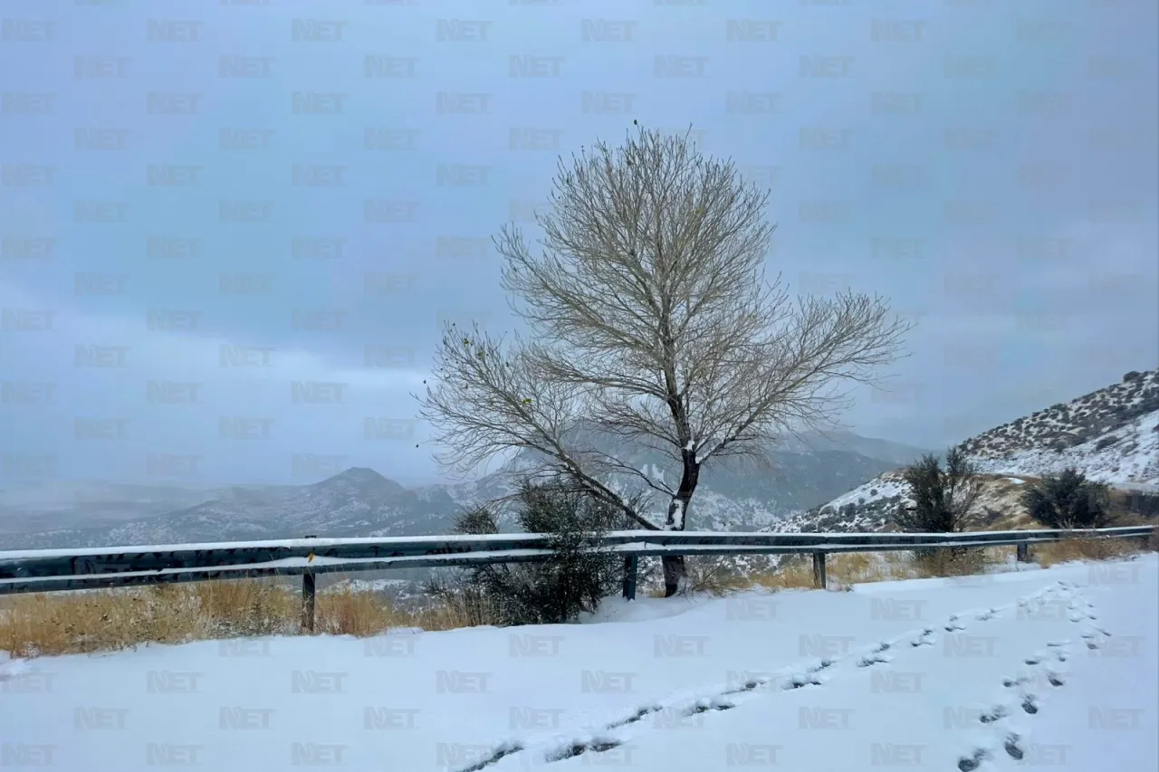 Disfrutan de la primera nevada del año en Mata Ortiz y Casas Grandes