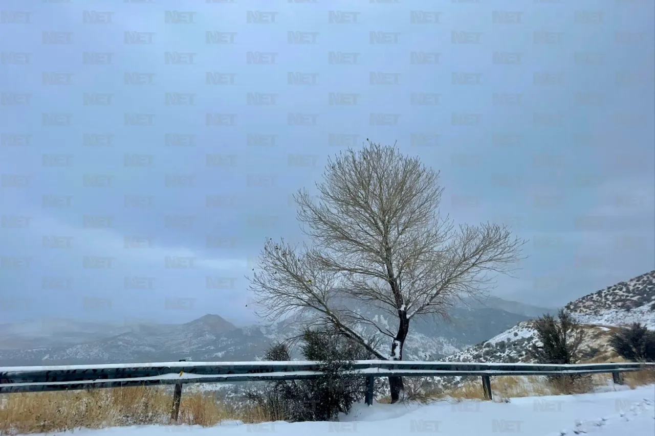 Disfrutan de la primera nevada del año en Mata Ortiz y Casas Grandes