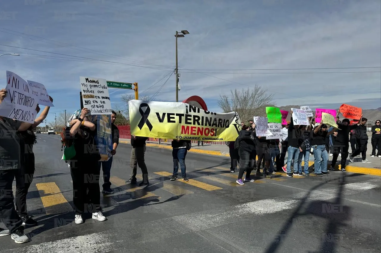 Médicos veterinarios de Juárez se manifiestan por violencia contra el gremio