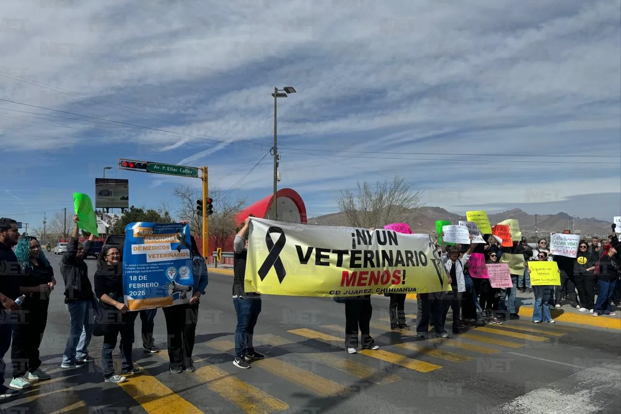 Médicos veterinarios de Juárez se manifiestan por violencia contra el gremio
