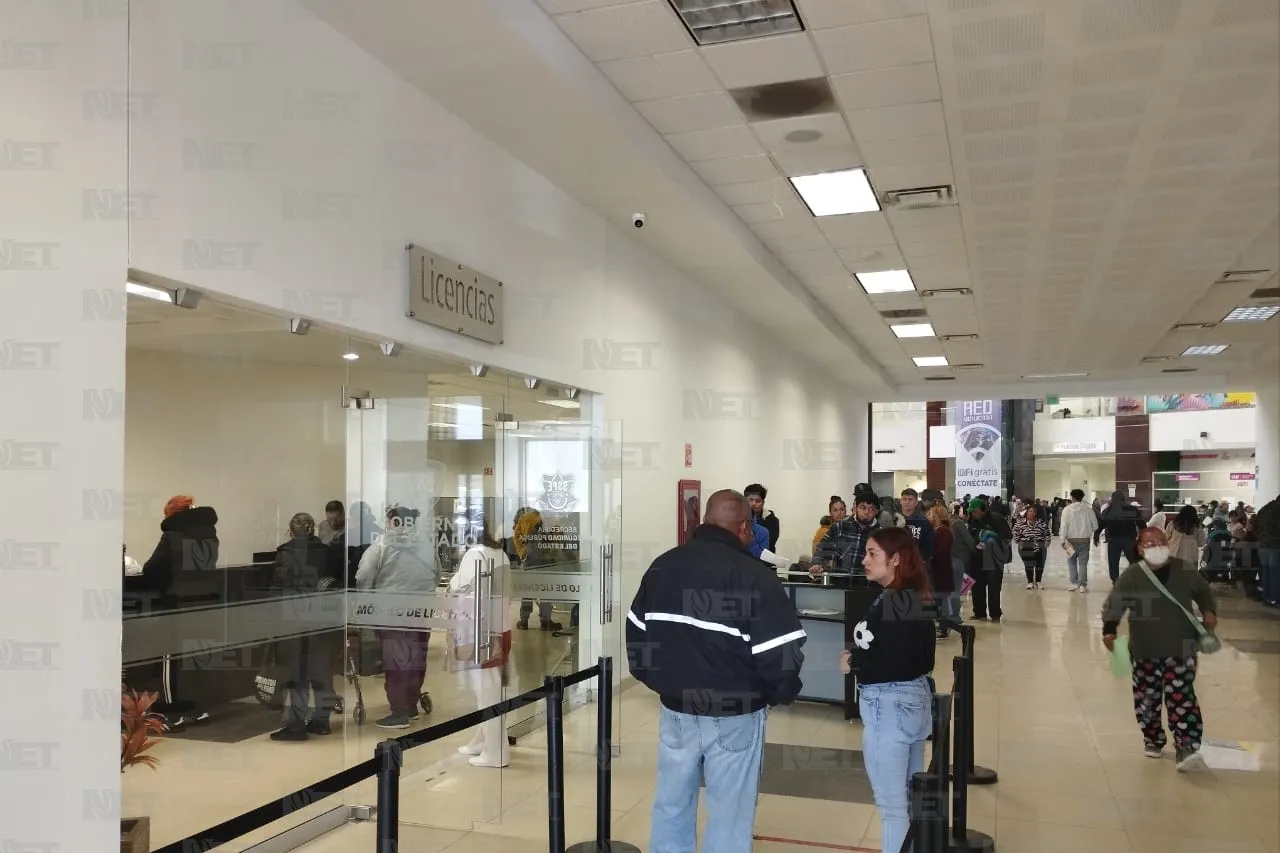 Se expidieron más de 13 mil licencias en febrero