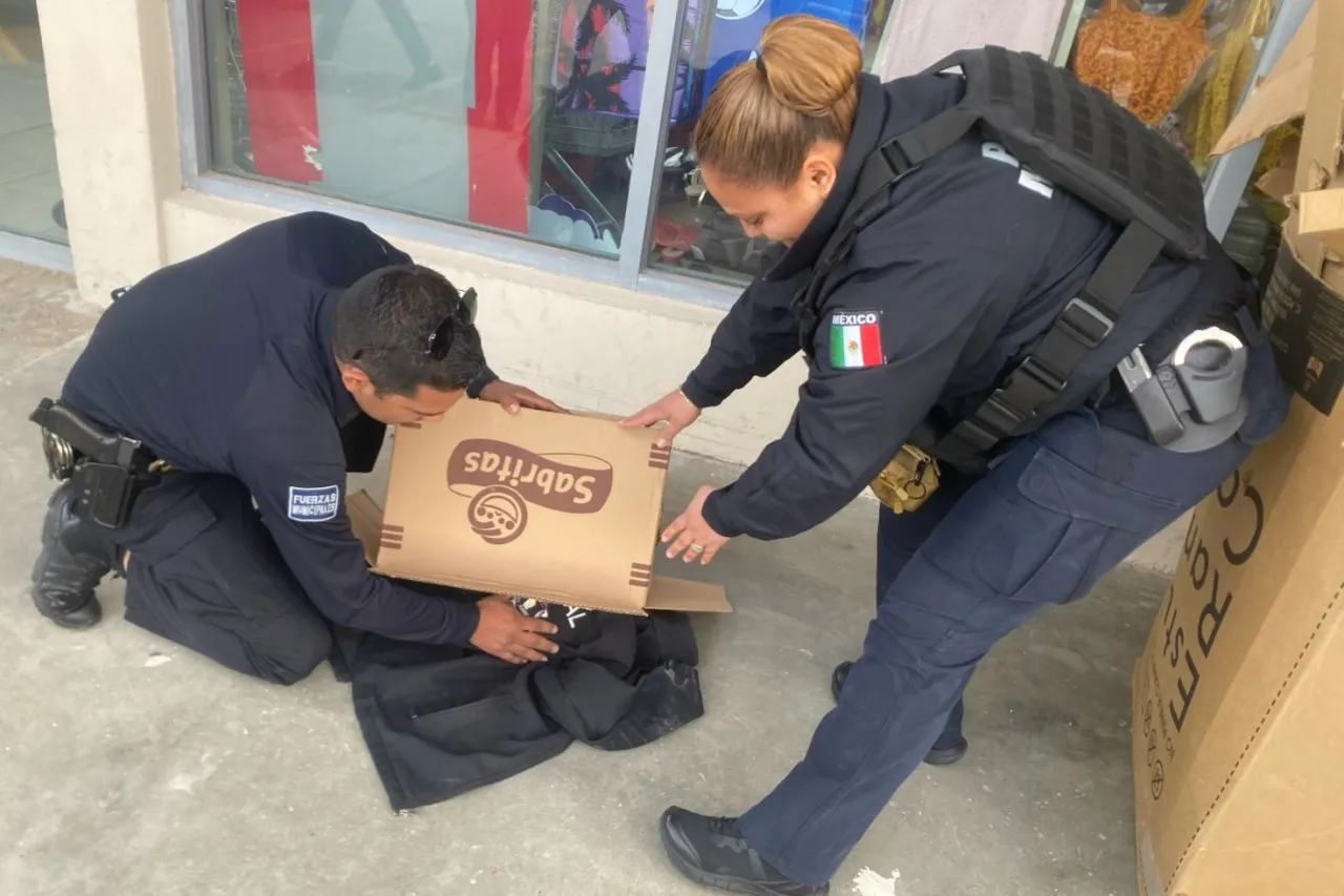 Rescatan policías a pavorreal que deambulaba en la René Mascareñas