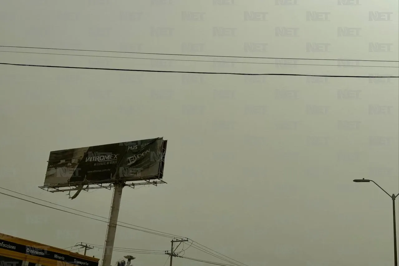 Vientos dañaron cables, techos y árboles: Bomberos
