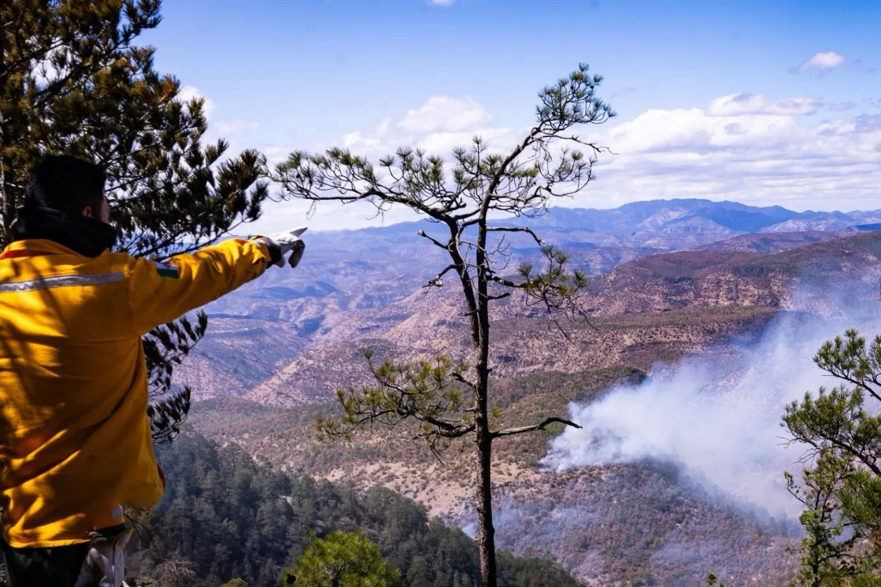 Participan 124 brigadistas en combate a incendios en Madera