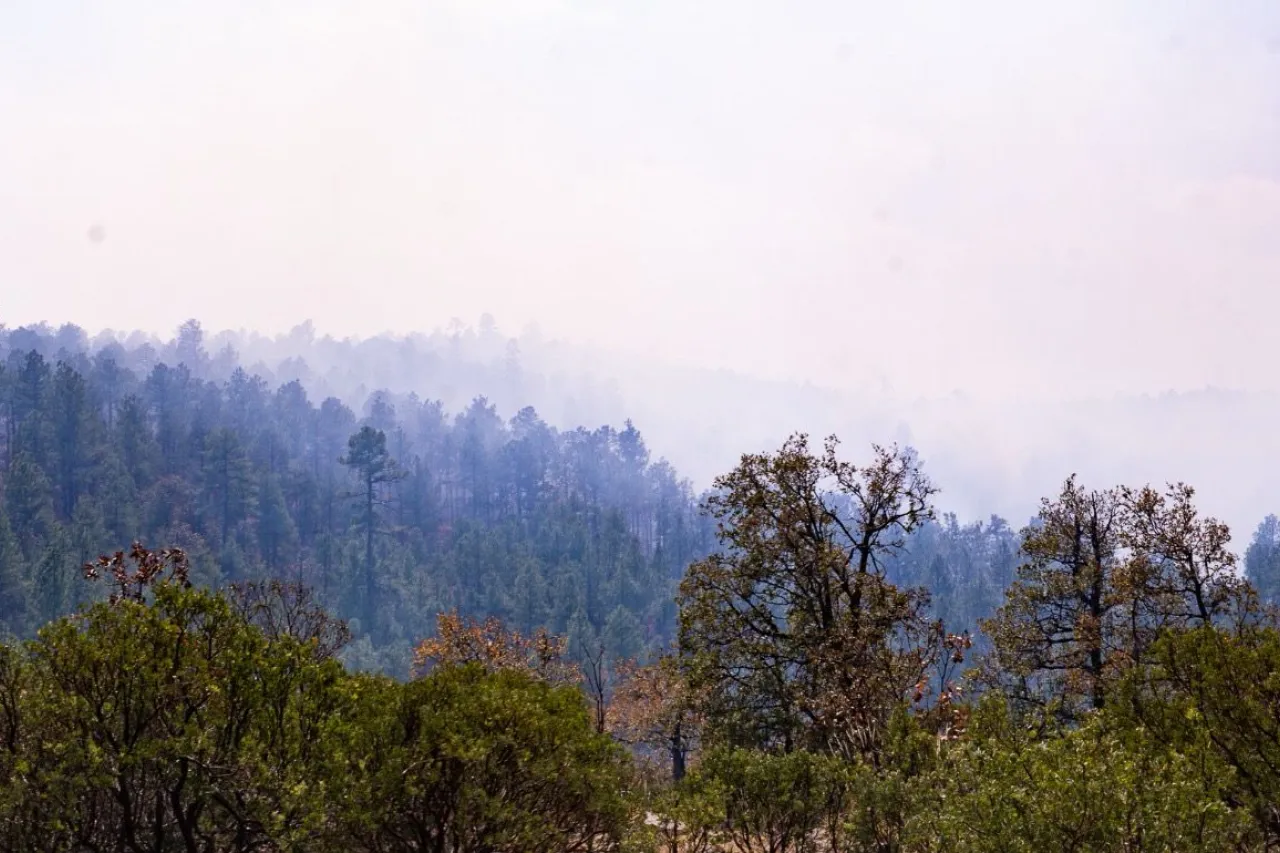 Participan 124 brigadistas en combate a incendios en Madera
