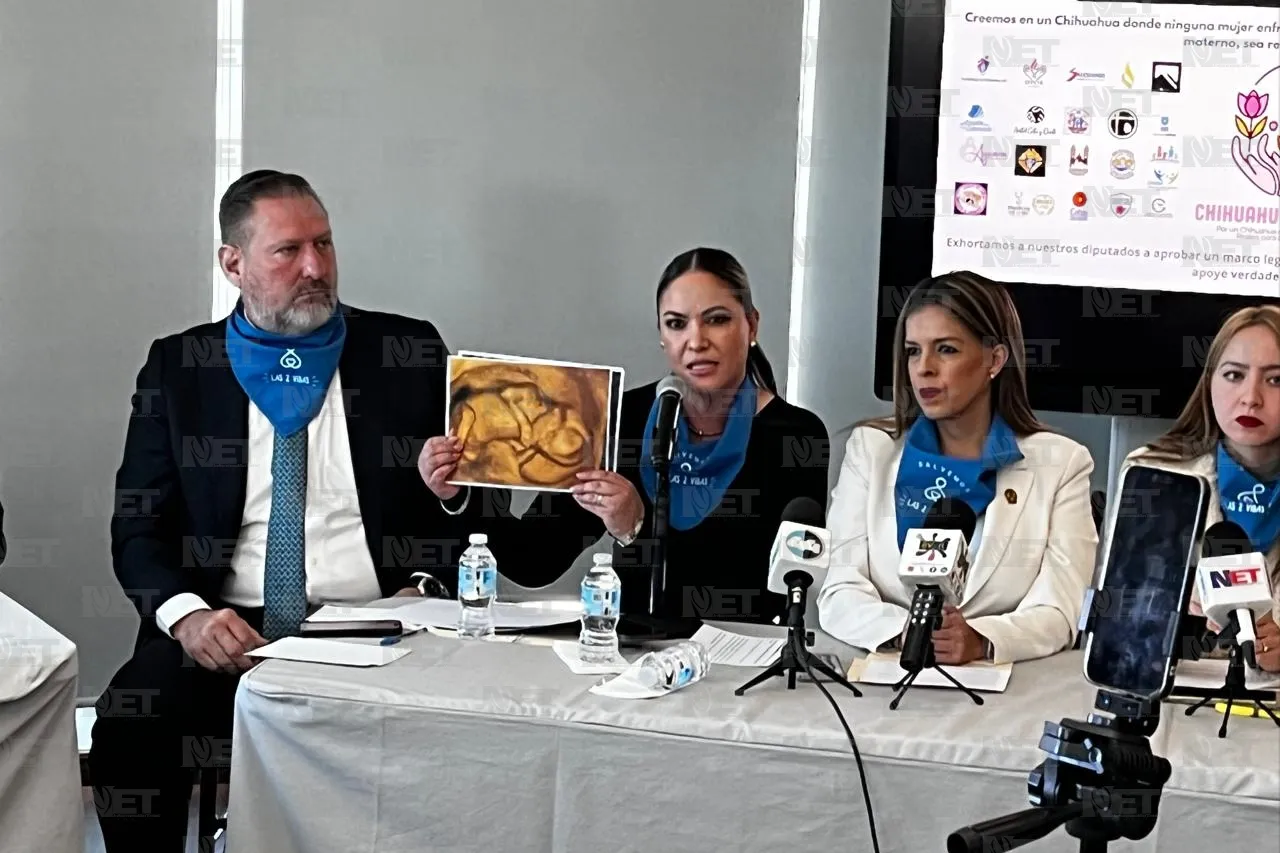 Presentan 25 mil firmas en contra del aborto