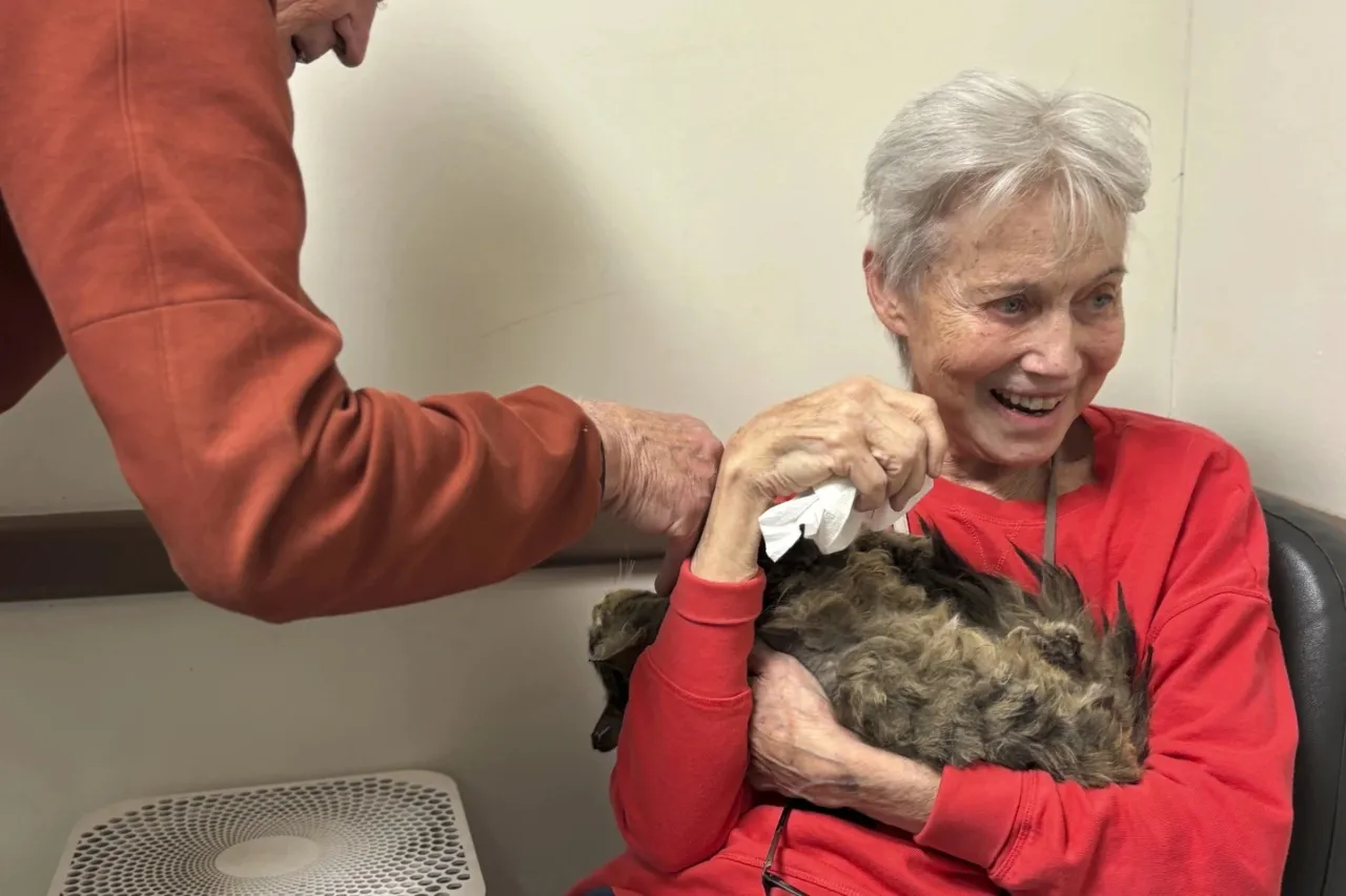 Reúnen a gatita con su dueña tras los incendios en Los Ángeles