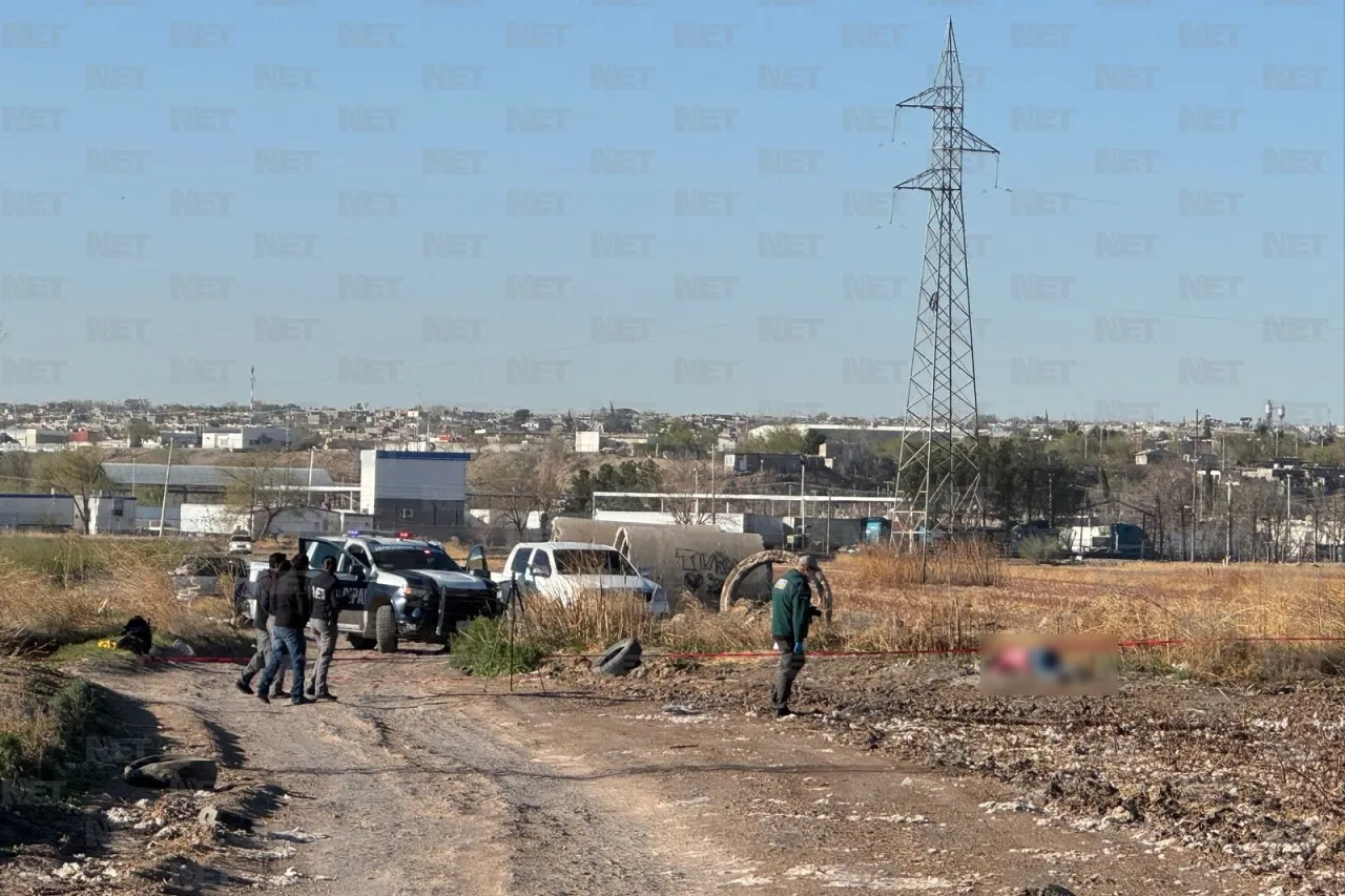 Encuentran a mujer muerta en campo de algodón en Ejido Zaragoza