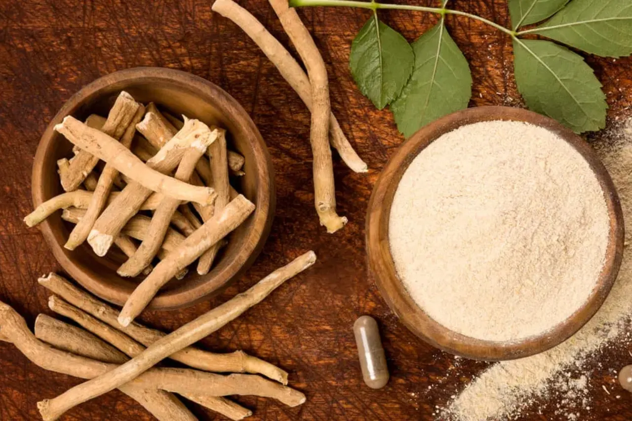 Ashwagandha: el ancestral secreto de la India que conquista el bienestar