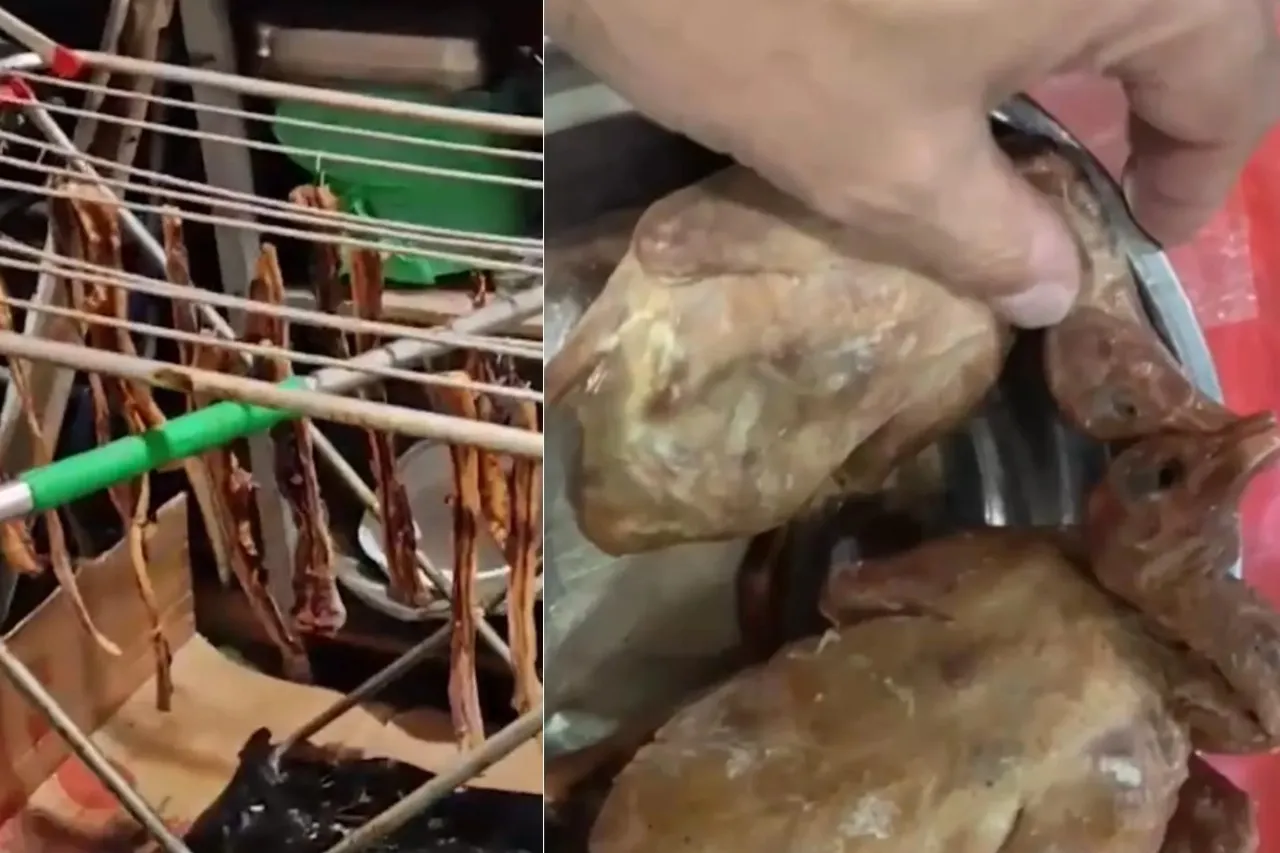 Cierran restaurante de comida china: servían palomas y las vendían como pato