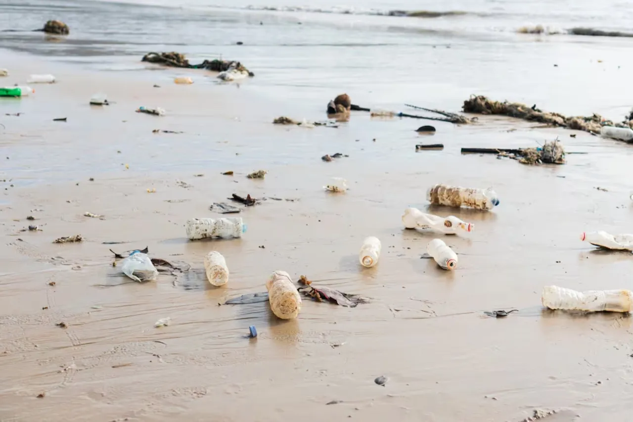 Mejor ni vayas; Cofepris revela las playas más contaminadas de México