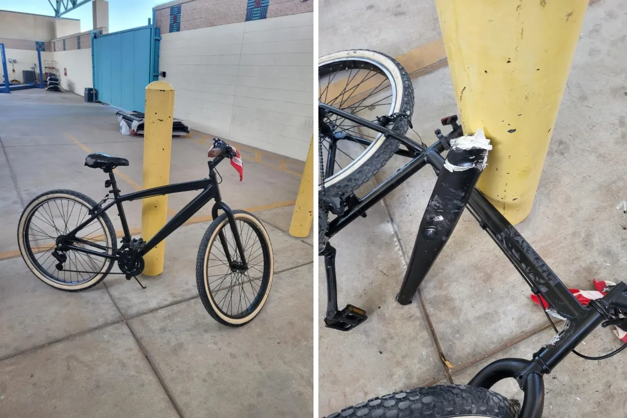 Intenta cruzar a El Paso droga oculta en bicicleta; perro lo descubrió