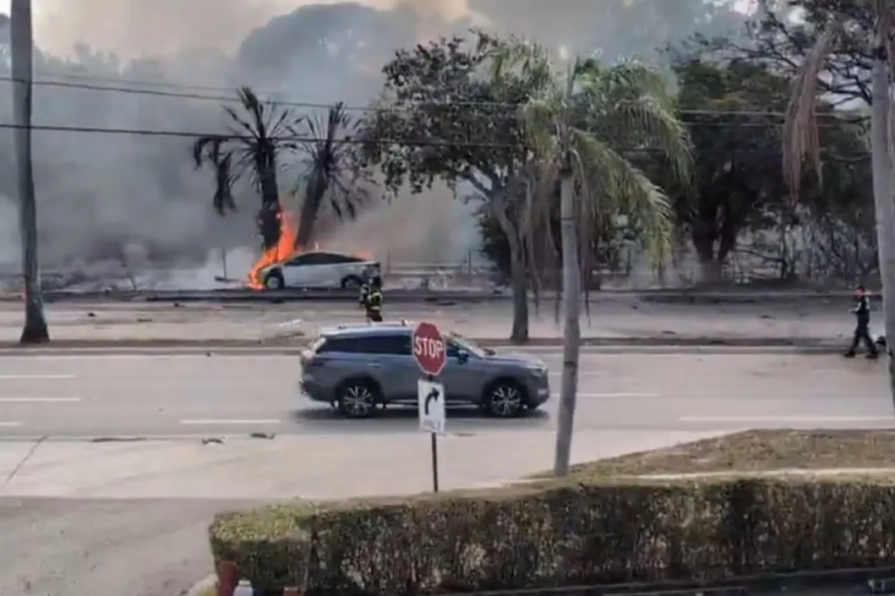Video: Se estrella avioneta cerca de aeropuerto de Boca Ratón, Florida