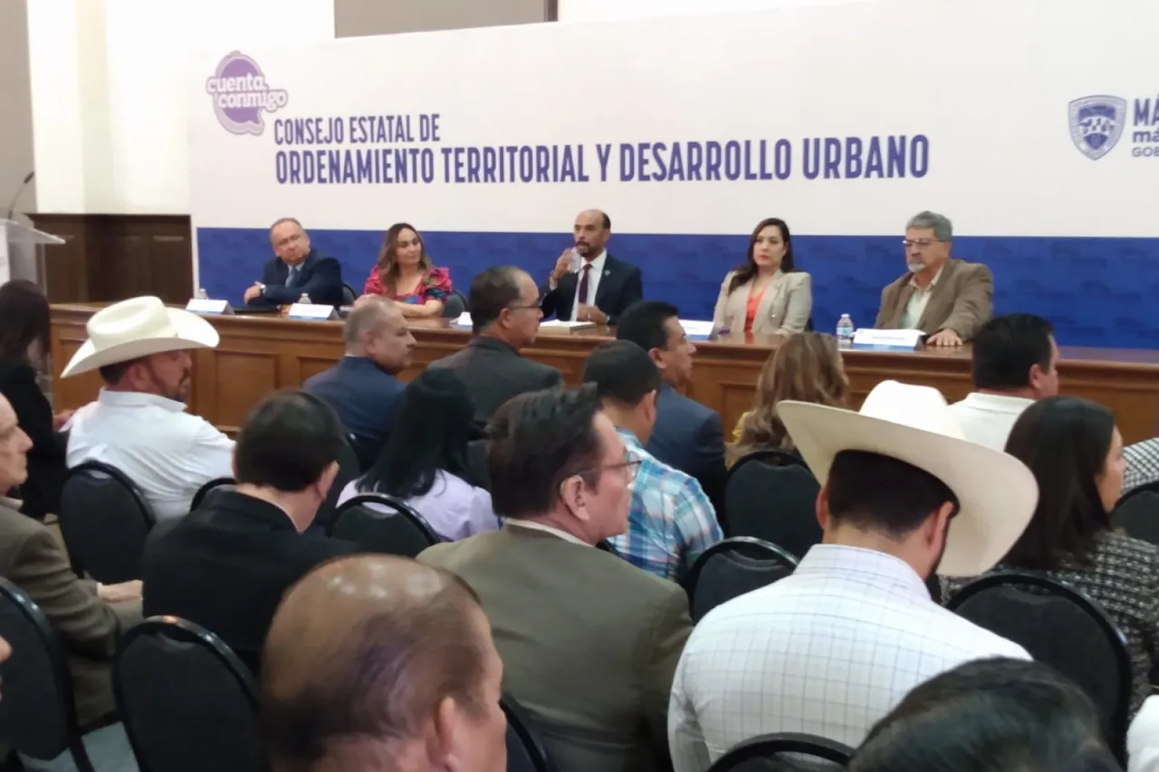 Revisión, análisis y reflexión 