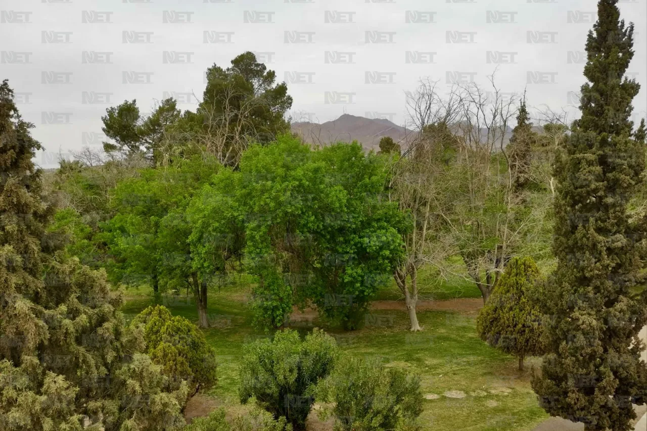 Cosas que no debes hacer si vas a El Chamizal a festejar la Pascua