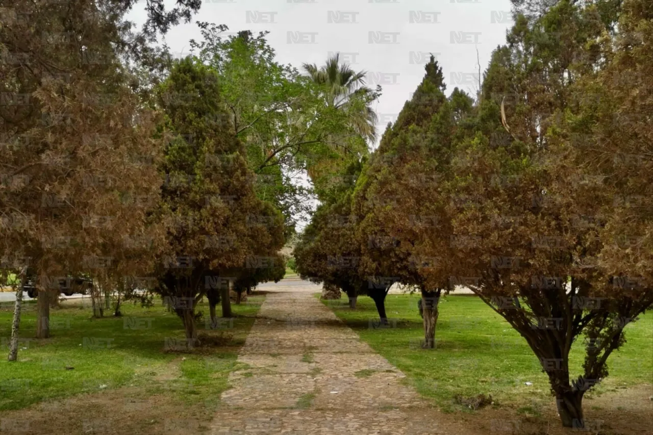 Cosas que no debes hacer si vas a El Chamizal a festejar la Pascua