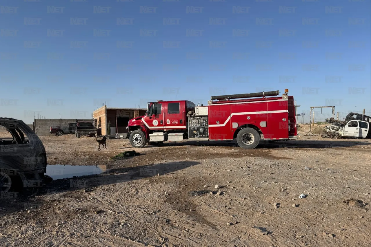 Incendio en granja mata a 17 cerdos y arrasa con yonke