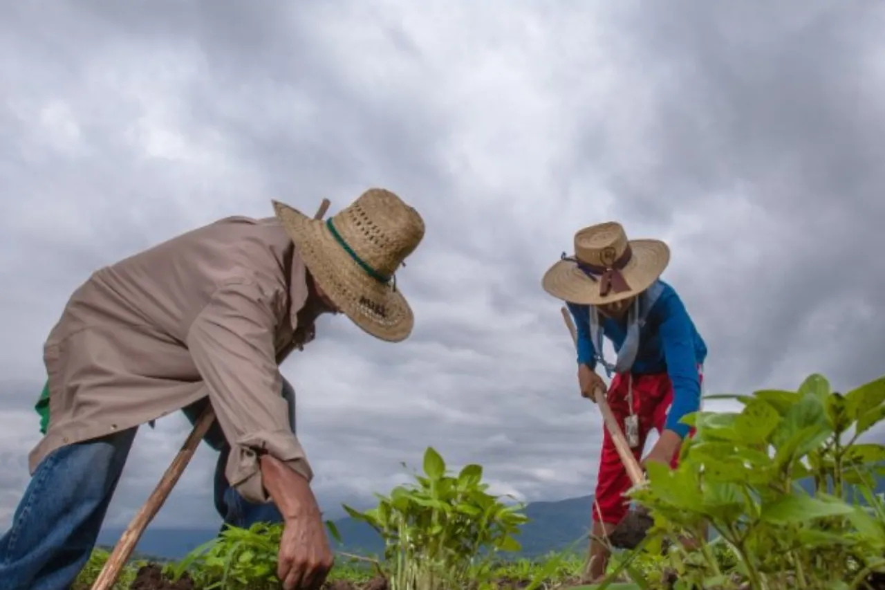 Inicia pago del Programa de Producción para el Bienestar