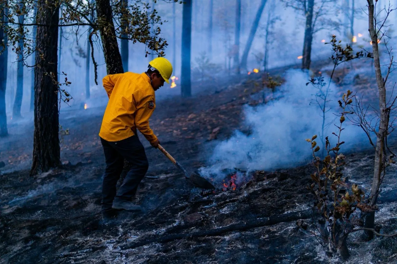 Combaten 262 brigadistas los 13 incendios forestales activos en 9 municipios