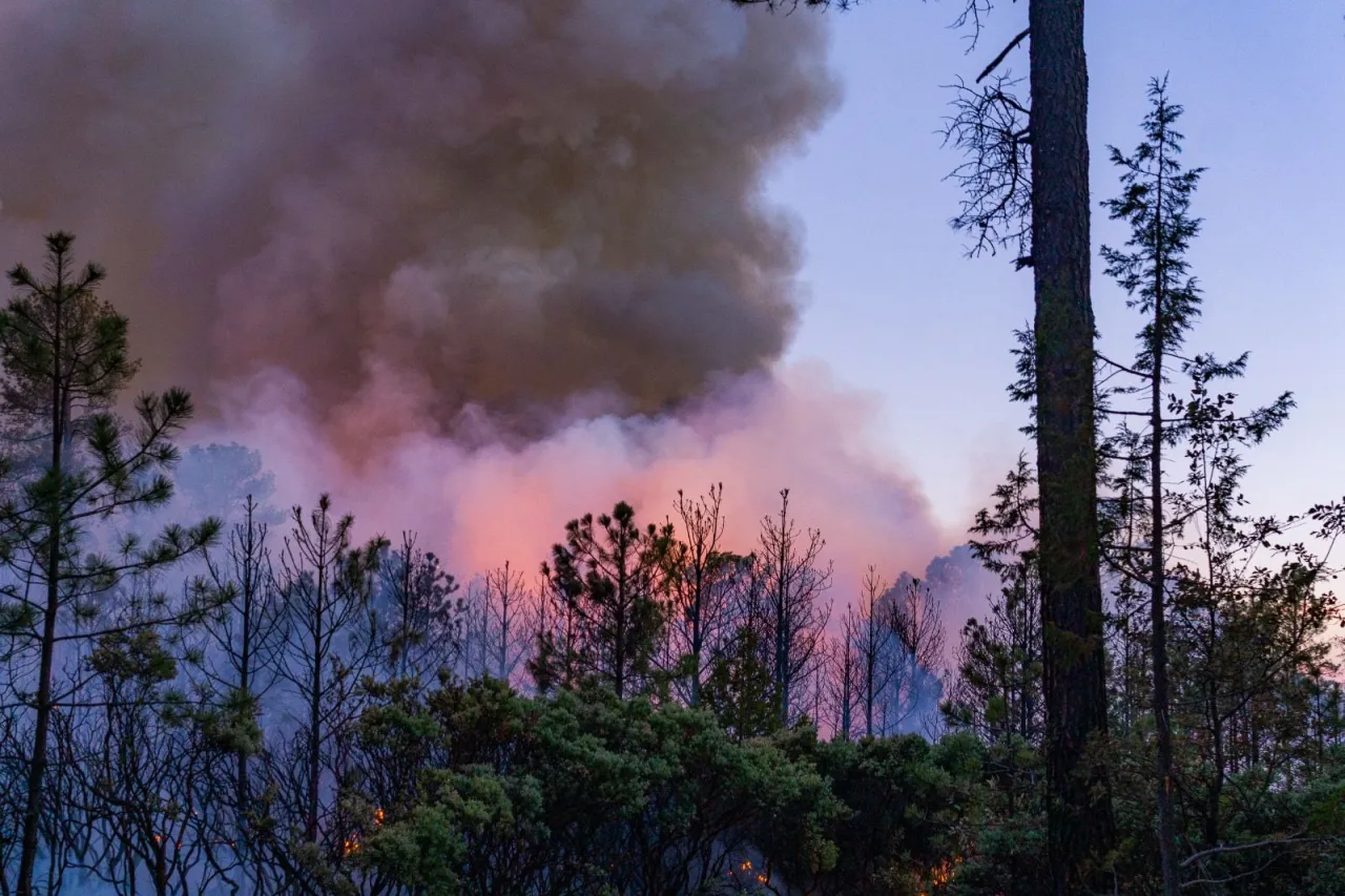 Combaten 262 brigadistas los 13 incendios forestales activos en 9 municipios